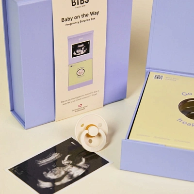 Подарочный набор пустышка латексная BIBS Colour «Baby on the Way», 0+ мес.