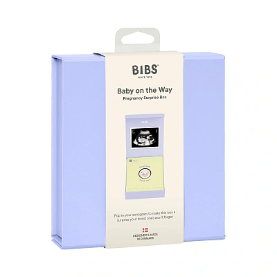 Подарочный набор пустышка латексная BIBS Colour «Baby on the Way», 0+ мес.