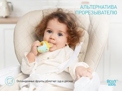 Ниблер Roxy Kids для прикорма с силиконовой сеточкой Dino