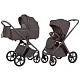 Коляска 2в1 Carrello Vector CRL-6552 limit