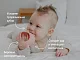 Прорезыватель Roxy Kids силиконовый на руку Мишка