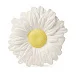 Margarita The Daisy